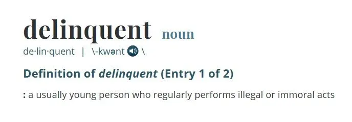 A dictionary entry for delinquent, noun: a usually young person who regularly performs illegal or immoral acts.