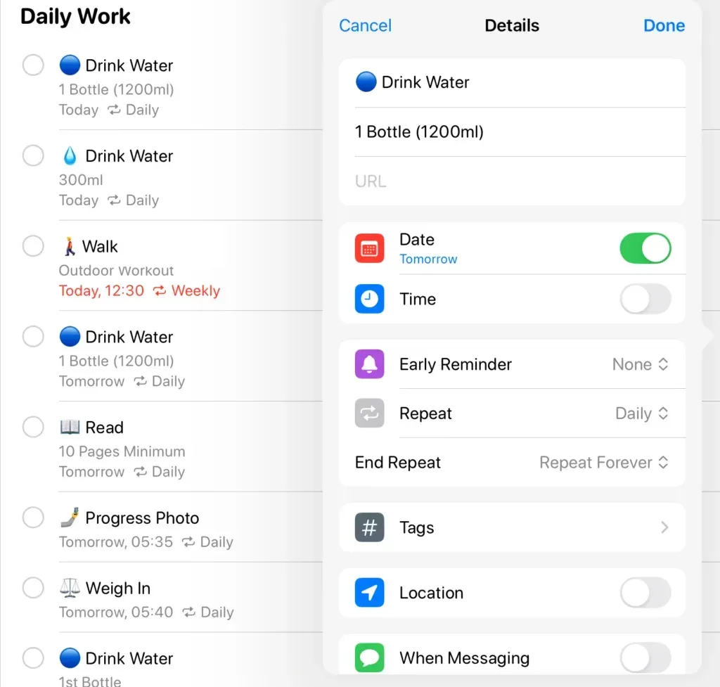 Reminders Details panel over the Daily Work list, showing Date, Time, Early Reminder, Repeat, Tags, Location and When Messaging