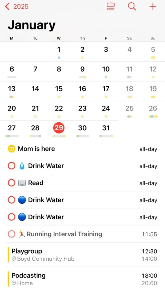 iPhone calendar on 29 January, undated reminders stacked as all-day above timed events like Playgroup at 12:30