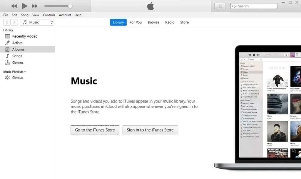 iTunes on Windows showing an empty Music library with only Go to the iTunes Store and Sign in buttons
