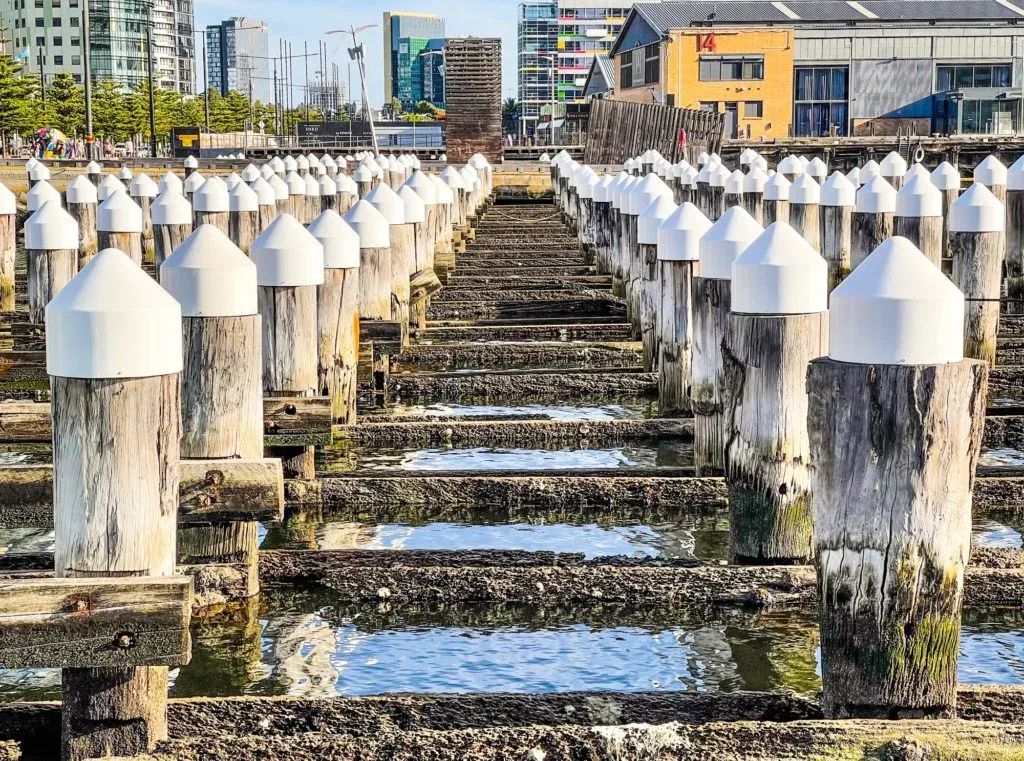 Rows of white-capped wooden pier piles receding over shallow water, apartments behind
