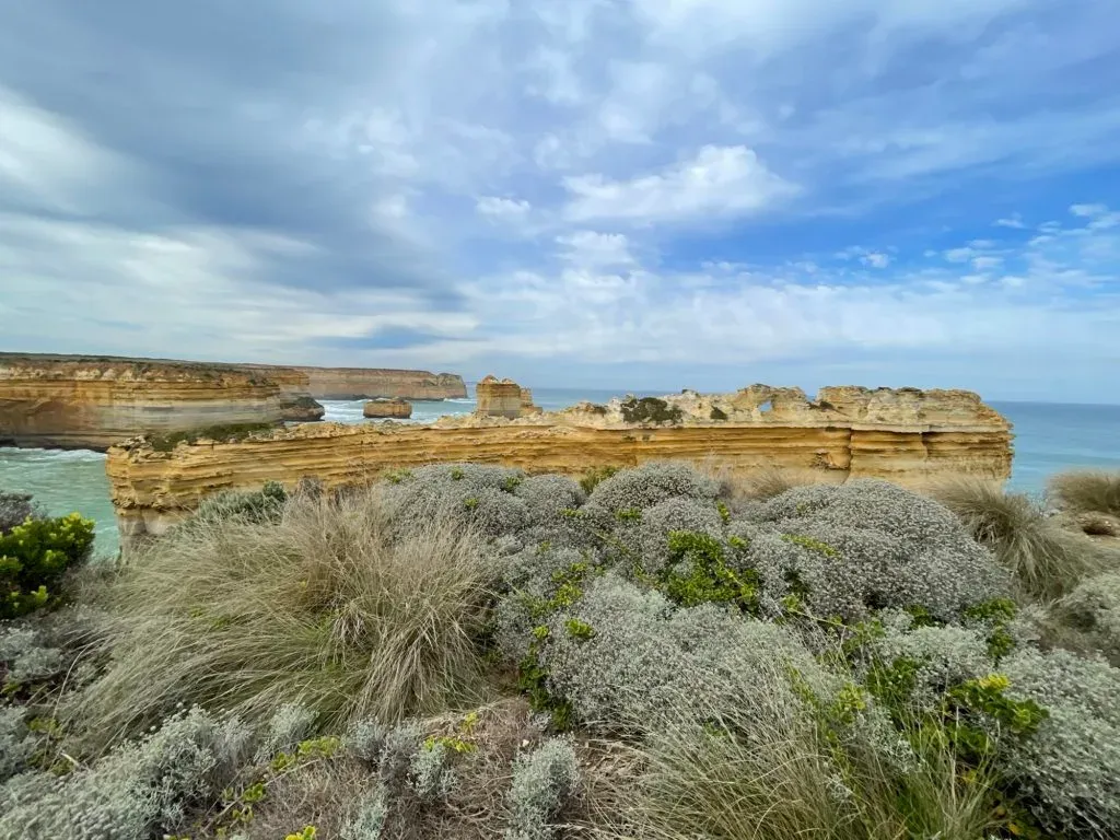 A long layered spine of rock running out to sea, seen over silvery scrub