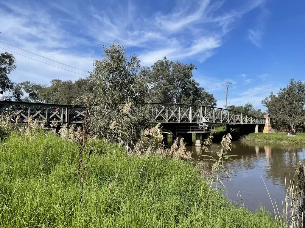The lattice-sided swing bridge low over the river, seen across a bank of tall reeds