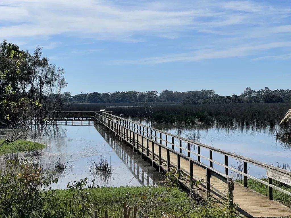 Timber boardwalk running straight out across flooded wetland towards a distant treeline