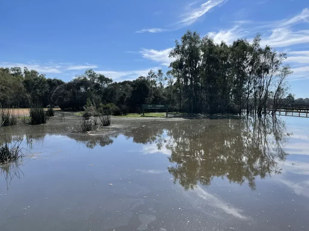 Flat floodwater across Sale Common with trees and cloud mirrored in it