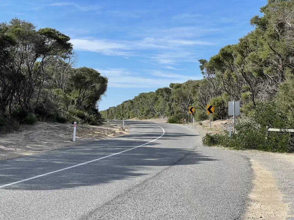Sealed coast road curving away through low scrub, chevron markers on the bend