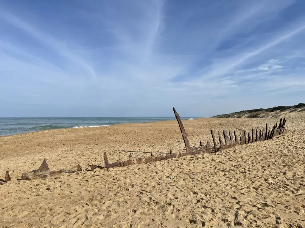A line of rusted ribs poking up through the sand, surf and empty beach beyond