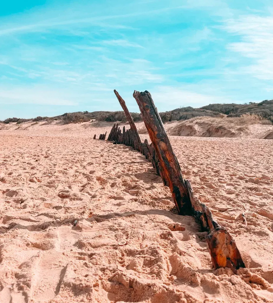 Low along the wreck's leaning rusted timbers, scrubby dunes behind